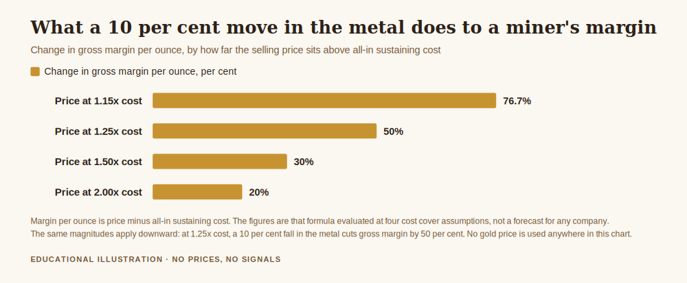 Bar chart for the question is it better to buy physical gold or gold stocks, showing how much a miner's gross margin moves when the metal price moves 10 per cent